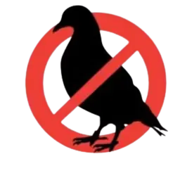 Ahuyentamiento de palomas y aves